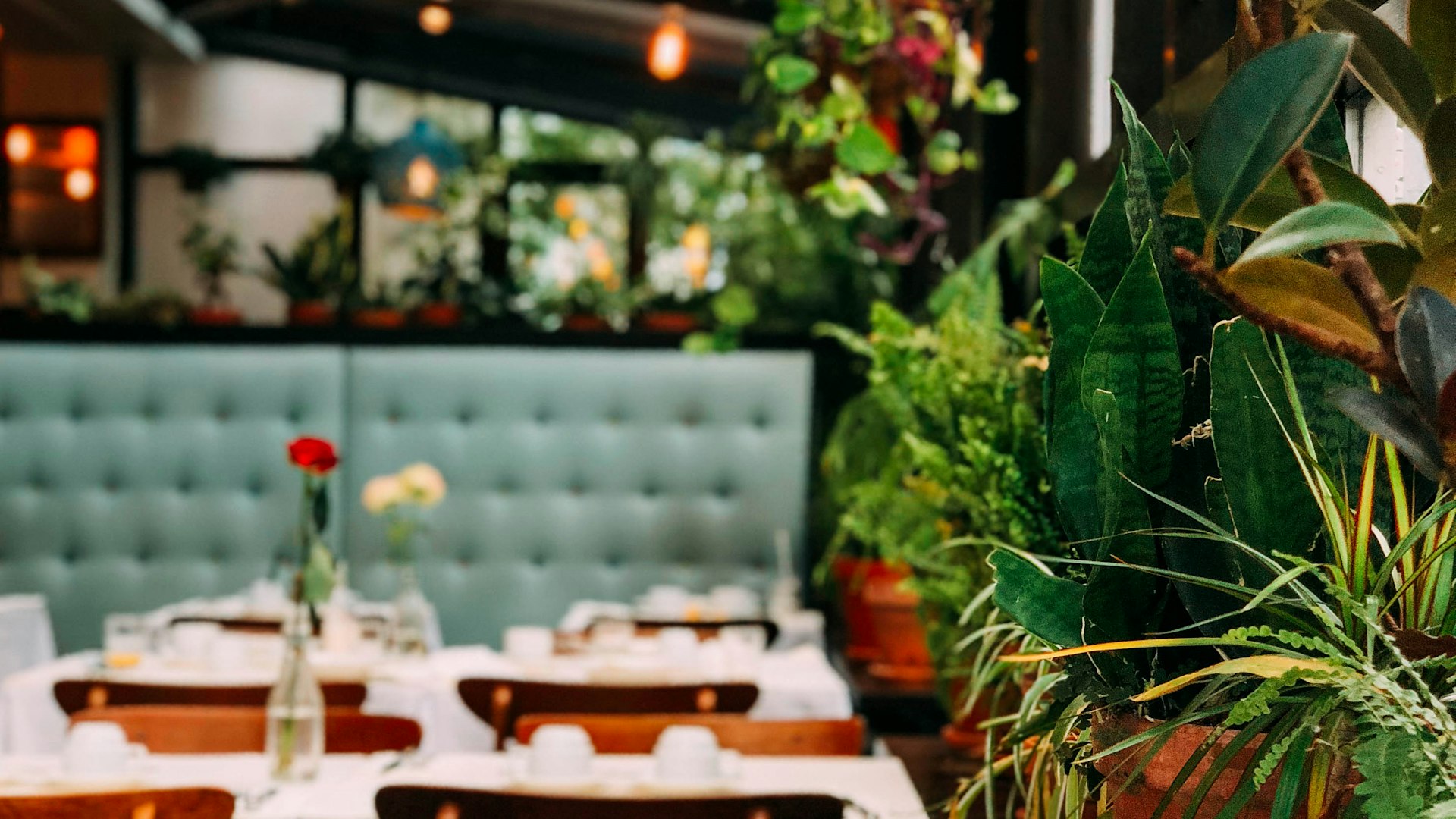 Professional food presentation and analytics